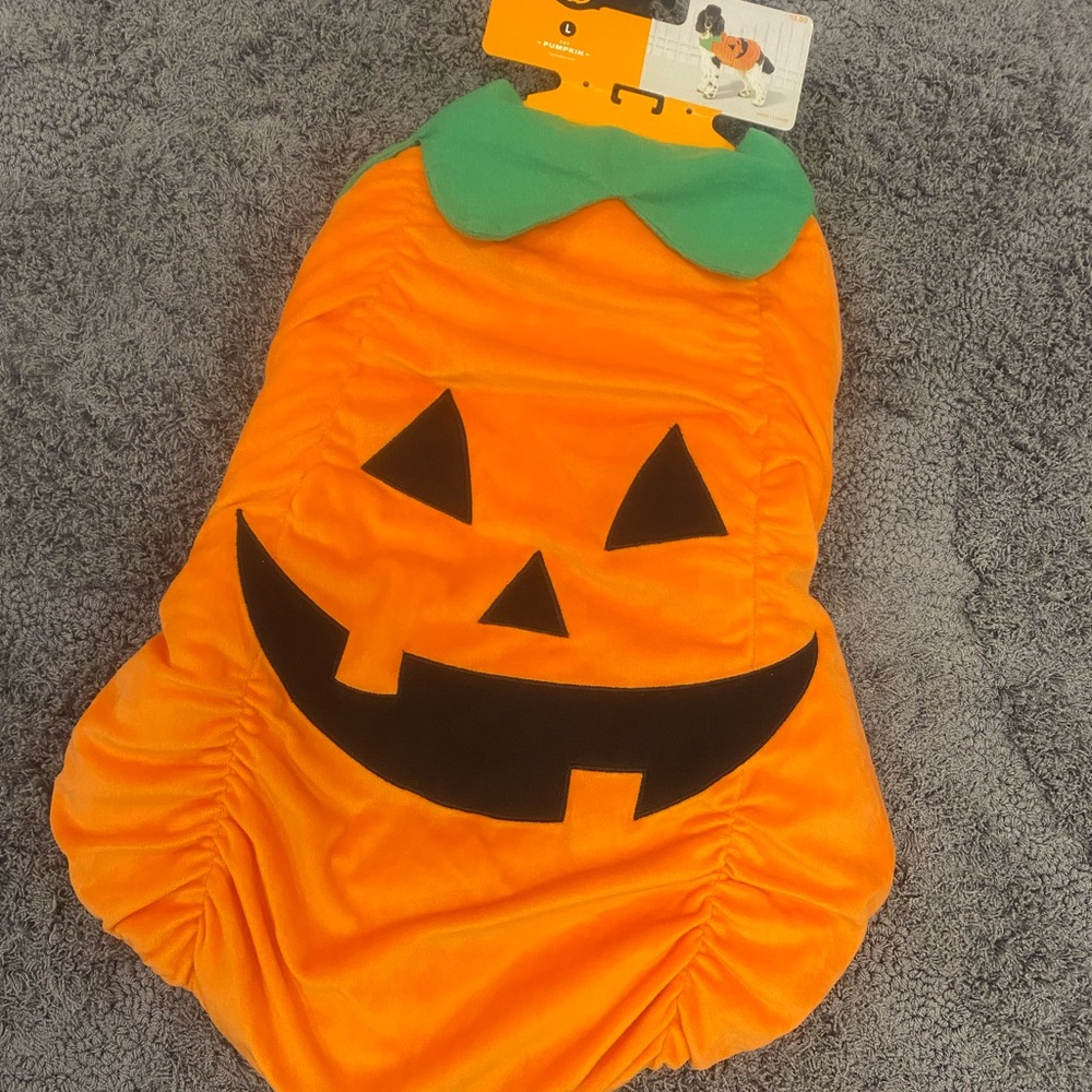 Pumpkin Jack O'Lantern Dog Costume - Orange - Picture 2 of 7